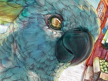 夏天要走了！！！