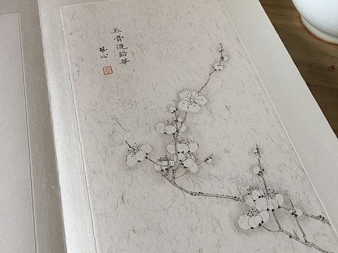 七色梅花录