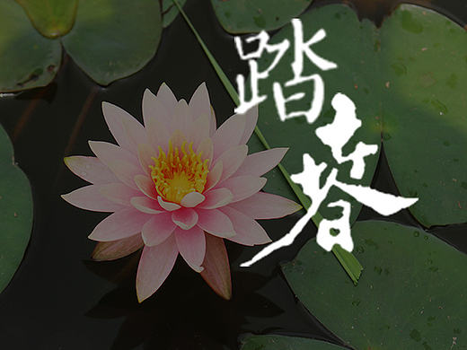 【踏春】（个人主页-ZMjEyNzkzNTI=） - 风光摄影 - 站酷设计师刘念念lonely原创素材 - 站酷ZCOOL