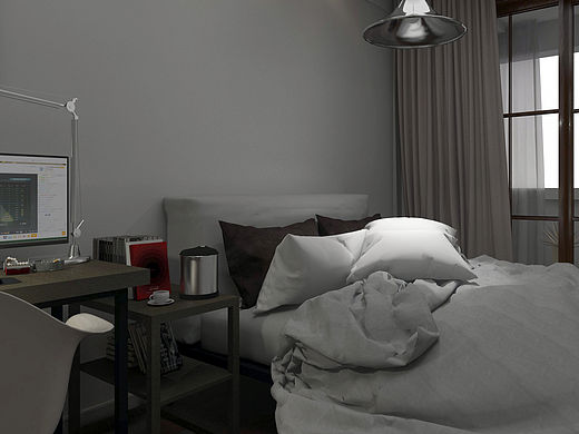 自主小屋效果图