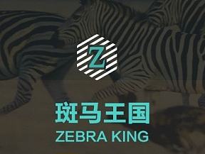 斑马王国 H5页面设计（个人主页-ZMTI4MDYxODg=） - APP界面 - 站酷设计师三月飞天原创素材 - 站酷ZCOOL