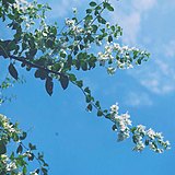 ZHANGKAIXIN12的头像