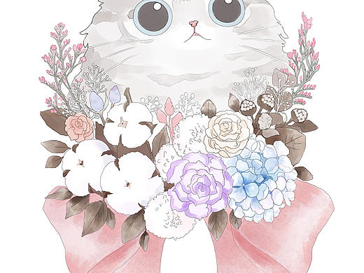 猫咪
