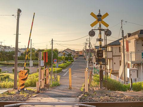 铁道小径（个人主页-ZNDQ2NTUyMTI=） - 风光摄影 - 站酷设计师Stevon_SeyMour原创素材 - 站酷ZCOOL