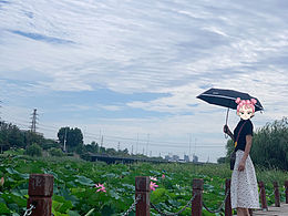 湖邊美景 美不勝收