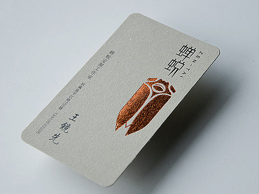 蝉蜕定制品牌名片设计