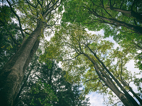 公园·体育中心（个人主页-ZMzgxMzY2Njg=） - 人文/纪实摄影 - 站酷设计师mixc183原创素材 - 站酷ZCOOL