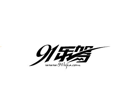 91乐驾-白金鑫  logo设计陆续整理中