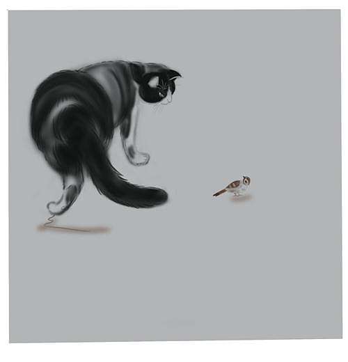 猫趣图