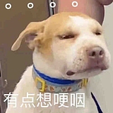 NYJJJY的头像