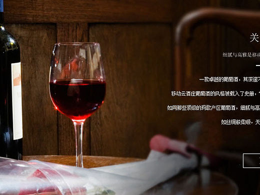 葡萄酒官网(临摹)
