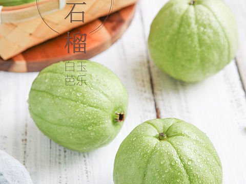 春日小清新