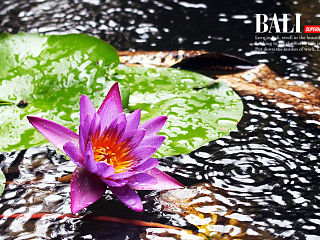 Bali - Honeymoon（个人主页-ZMzYyNjA4NA==） - 风光摄影 - 站酷设计师5UPERNATURAL原创素材 - 站酷ZCOOL