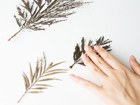 视觉日记6(手与叶)