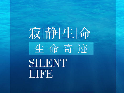 多媒体图文