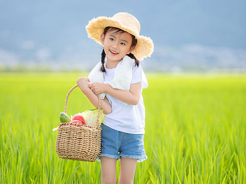 夏日清澈的河流，田野间随风摇动的稻苗