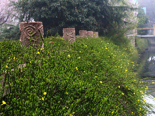 春意来袭（个人主页-ZMTU1Njk5MDA=） - 风光摄影 - 站酷设计师李瓶籽原创素材 - 站酷ZCOOL