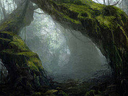 普罗米斯森林（Promise&nbsp;Forest）——彩虹森林系列之“绿”
