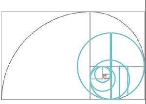 黄金分割线真的是logo的好兄弟
