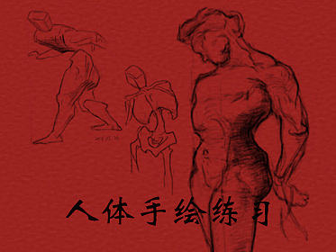 手绘初级人体结构入门练习(第一趴)