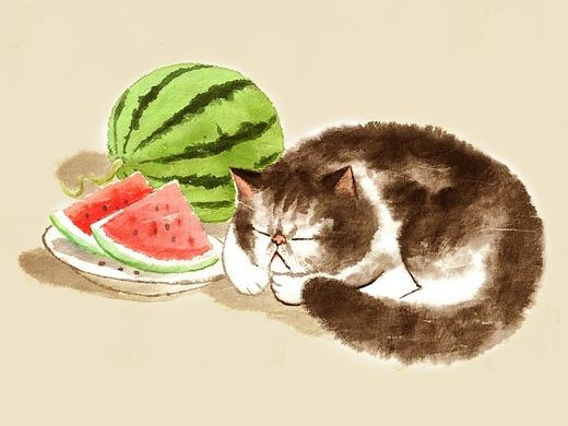 再见，西瓜蝉鸣的季节