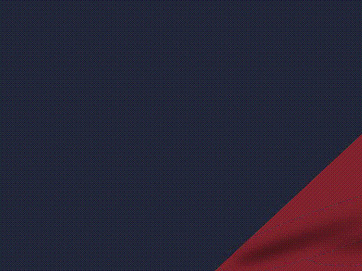 帆布鞋网页flash小广告