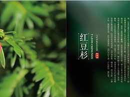 家纺宣传画册
