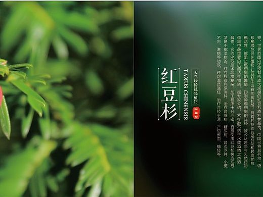 家纺宣传画册