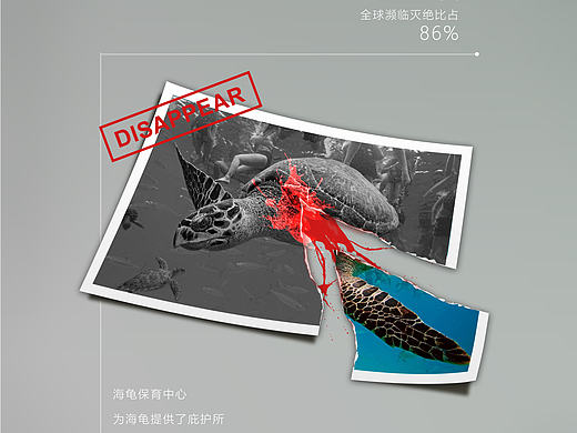 一组动物保护宣传展板