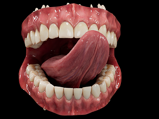 口腔（個人主頁-ZNjE0OTgwNjA=） - 人物/生物 - 站酷設(shè)計師笨笨熊之江原創(chuàng)素材 - 站酷ZCOOL