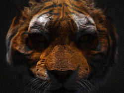 I like ZBrush（个人主页-ZMTg0MTEyNA==） - 动画/影视 - 站酷设计师liujiwen原创素材 - 站酷ZCOOL