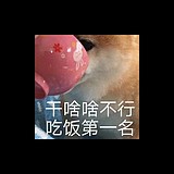 嘴唇爱上了香烟的头像