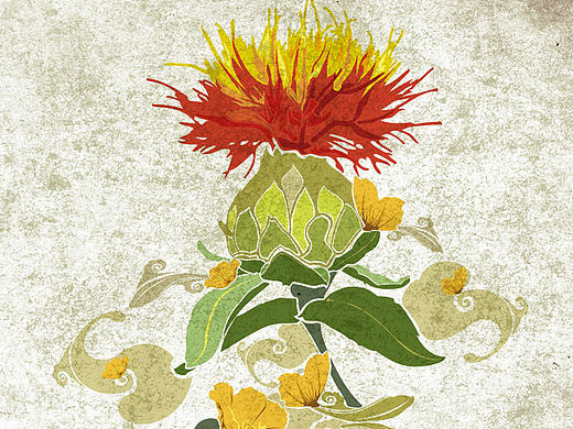 六月矢量图案·【春风拂槛露华浓】