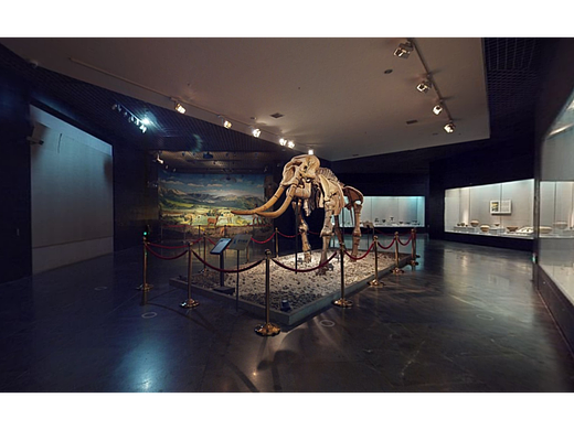 博物馆数字孪生系统有什么特点？工厂场景平台开发|广州华锐互动