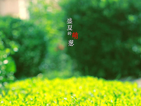 我只是一个人停停走走。（个人主页-ZNDE4NDU2NA==） - 风光摄影 - 站酷设计师AJAO原创素材 - 站酷ZCOOL
