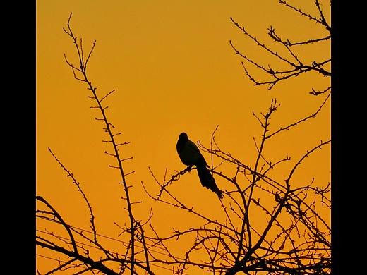 手机摄影（个人主页-ZMzI4MTYzMDA=） - 产品摄影 - 站酷设计师摄影师小朱原创素材 - 站酷ZCOOL