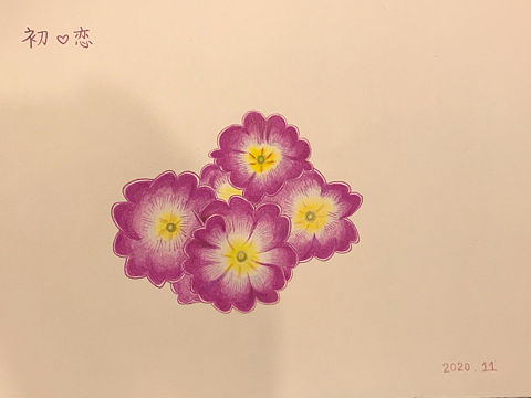 初恋（个人主页-ZNTA5MTk5MDQ=） - 艺术插画 - 站酷设计师Z93442378原创素材 - 站酷ZCOOL