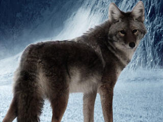 合成海报（个人主页-ZNjg1ODU4OA==） - 海报 - 站酷设计师吾空Design原创素材 - 站酷ZCOOL