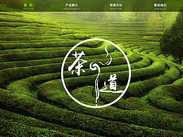网页设计