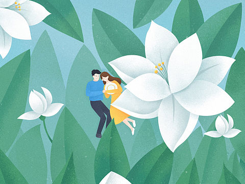 茶叶包装插画