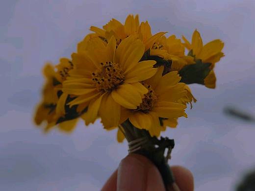 春天来临的时候