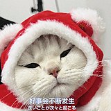 Hotaru梦萤的头像