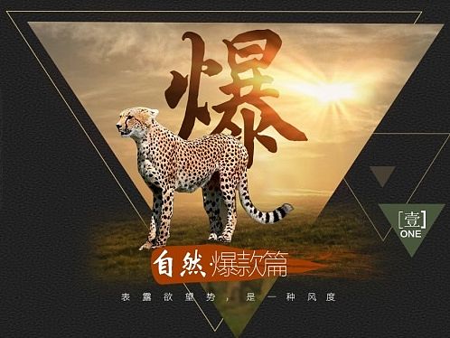 豹子（个人主页-ZMTI0MTU3ODg=） - 海报 - 站酷设计师腾空的日子原创素材 - 站酷ZCOOL