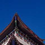 琳子798的头像