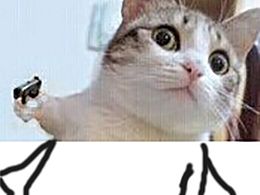 快給老子點贊！喵~