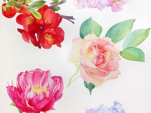 花谱1（个人主页-ZMTIzNjc0MzI=） - 商业插画 - 站酷设计师双兔纸原创素材 - 站酷ZCOOL