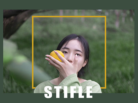 stifle