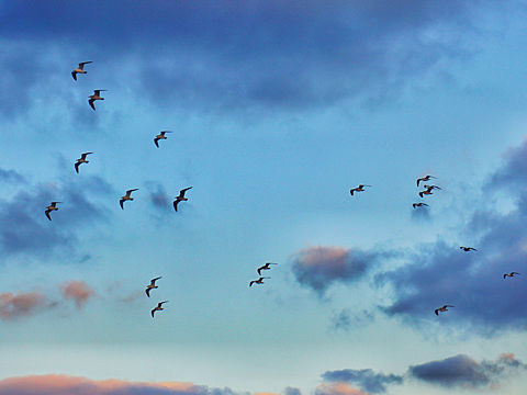 2018年個(gè)人攝影精選（個(gè)人主頁-ZNDUzMjM2NDg=） - 風(fēng)光攝影 - 站酷設(shè)計(jì)師電梯最慢原創(chuàng)素材 - 站酷ZCOOL