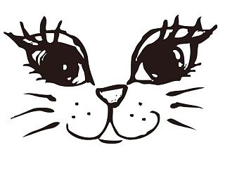 家有萌猫是一宝