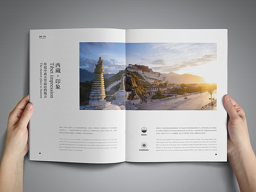 西藏平面-书籍/画册74573475年前训练营科目十二练习《猫之岛》平面